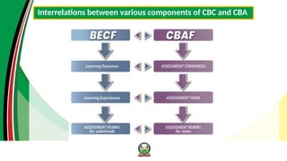 CBA-ASSESSMENT FRAMEWORK CBA-ASSESSMENT FRAMEWORK CBA-ASSESSMENT ...