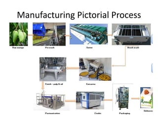 Manufacturing Pictorial Process
 