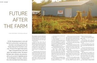 2 THE PLANET
STORY JENS PERRIN | PHOTOS BILLIE WELLER
The formulation of the Food Bank Farm
initially started in 2006 when the Bellingham
food bank administered a survey that asked
food bank clientele what they wanted to see
from the food bank. The answers were simple:
supply more produce.
However, in late October 2012, the
Bellingham Food Bank board of directors
made the decision to close the food bank farm.
The farm provided the food bank clients with
a constant supply of food throughout the
growing months. The closure provides a more
cost efficient way to supply bulk produce to
the people who need it, said Mike Cohen, the
executive director at the Bellingham Food
Bank.
Pursuing the needs of their patrons, the
food bank started looking for ways to get fresh
produce. The vision became reality when the
Cascade Christian Services offered a 2.5-acre
parcel of land for $200 per month, Cohen said.
Once the farm was established, it supplied
19,000 pounds of vegetables in 2010 on its
parcel of land. In 2011, the farm supplied
24,700 pounds and 35,000 pounds in 2012,
Jones said.
The food bank distributes 250,000 pounds
of food per month.
“That’s eight fully loaded semi trucks
every month,” Cohen said.
In total, the Bellingham food bank serves
10,000 people every month, Cohen said. As
of June 2011, Bellingham had a population
of just above 80,000 people, according to the
U.S. Census Bureau. The Bellingham food bank
supplements one-eighth, or 12.5 percent, of
Bellingham’s population every month.
During the distribution hours, people wait
in line outside the food bank without cover.
Aneesa Ahad is a single mother and
a military veteran attending Whatcom
Community College. Ahad and daughter,
Nusy, wait in that line every week, passing
the time with sidewalk chalk art projects. On
tough months, they ration what is left of their
monthly GI bill, which is about $400 after
tuition, for the necessities like rent and bus
passes, Ahad said.
About 21.6 percent of Bellingham’s popu-
lation is below the poverty line, almost double
the state of Washington, at 12.1 percent,
according to 2010 U.S. Census data.
However, the end of the farm will not spell
the end of the produce in the aisles of the food
bank. The food bank still gets produce from
many different sources. Food in fair or less than
fair condition is gathered from grocery stores
and distributed at the food bank, he said.
The bank also receives excess produce
from home gardeners with the Victory Garden
program, Cohen said.
The Small Potato Gleaning Project gathers
produce left behind by the harvests of com-
mercial farmers to donate to the food bank.
According to the food bank website, volun-
teers collect more than 60 tons of fresh, local
produce annually.
These programs can help fill the void
created by the closure of the Food Bank Farm.
When the farm was up and running,
the food collected from the farm by the vol-
unteers traveled to the food bank location
in Bellingham, Wash. where it was sorted for
distribution.
The farm was never certified to be organic
because it was a non-profit project and there
are extra administrative costs associated
with being certified, said Matia Jones, the
Bellingham Food Bank Farm Manager.
But the farm used techniques to make the
produce organic, just without the expensive
label, Jones said.
These techniques, which include crop
rotation, helped sustain a flow of vegetables to
the food bank throughout the growing months,
Cohen said.
The farm used legumes, such as winter
peas, for cover crops, which add nitrogen to the
soil in a process called nitrogen fixation, Jones
said.
The practice of planting legumes as a cover
crop is beneficial to the restoration of ammonia
in the soil. Atmospheric nitrogen (N2) makes
up approximately 80 percent of the earth’s
atmosphere.
This gaseous form of nitrogen is not
available to the plants. Nitrogen-fixing bacteria
reside in the roots of the winter peas and
convert this atmospheric nitrogen to ammonia,
which the plant is able to use, according to
a New Mexico State University guide titled
Nitrogen Fixation by Legumes.
The plants then get tilled into the ground
where they decompose, releasing ammonia
It’s fall; the growing season is over and
the farm’s productivity is nearing its end.
Volunteers sow hardy grains over the
freshly tilled soil for the winter’s cover
crop. The last of the large tomato plants
linger in the greenhouses, their vivid
green color fading to brown. The season
had been labor intensive, yet productive,
with 35,000 pounds of vegetables grown
for the Bellingham Food Bank. However,
this is the Food Bank Farm’s final season.
FUTURE
AFTER
THE FARM
After 7 years of renting this three-
acre parcel of land for $200 per
month, the food bank closed the
Food Bank Farm.
 