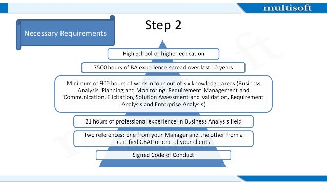 CBAP PDF