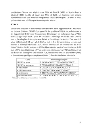 11
purification Qiagen puis digérés avec MluI et BamHI (NEB) et ligués dans le
plasmide JFH1 modifié et ouvert par MluI et BglII. Les ligations sont ensuite
transformées dans des bactéries compétentes Top10 (Invitrogen). Les mini et maxi
préparations sont vérifiées par séquençage des inserts.
RT-PCR
Les cellules infectées et non infectées sont récoltées après trypsination et l’ARN total
est préparé (RNeasy; QIAGEN) et quantifié. La synthèse d’ADNc est réalisée avec le
kit SuperScript III Reverse Transcriptase d’Invitrogen en mélangeant 1µg d’ARN
avec 200 ng d’oligo dT et 1 µl de dNTP 10mM. Le mélange est incubé à 65°C pour 1
min et dans la glace 1min également. Puis 4 µl de mélange de réaction First strand, 1
µl de dithiothreitol 0,1 M, 1 µl de RNAse Out et 1 µl de transcriptase inverse sont
ajoutés, le mélange est incubé à 50°C durant 60 min dans un volume final de 20 µl.
Afin d’éliminer l’ARN matrice, la RNAse H est ajoutée, suivie d’une incubation de 20
min à 37°C. Des dilutions au 10ème en séries sont effectuées avec l’ADNc obtenu et 1µl
de chaque est utilisé pour une réaction PCR, réalisé avec une Taq polymérase (NEB)
et des amorces spécifiques des gènes (tableau 1) dans les conditions standards.
Gène Amorces spécifiques
SREBP-1c sens 5’ ACACAGCGGTTTTGAACGACATC 3’
SREBP-1c anti-sens 5’ ACGGACGGGTACATCTTTACAG 3’
CHREB sens 5’ CAGCGTCGAGGTTTCACACT 3’
CHREB anti-sens 5’ CTGCTGTTTCCACGGTTGAG 3’
β-actine sens 5’ TTGTAACCAACTGGGACGATATGG 3’
β-actine anti-sens 5’ CGACCAGAGGCATACAGGGACAAC 3’
Tableau 1: Les différentes amorces utilisées pour la PCR.
 