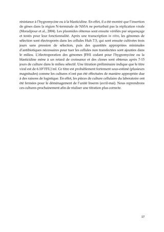 17
résistance à l’hygromycine ou à la blasticidine. En effet, il a été montré que l’insertion
de gènes dans la région N-terminale de NS5A ne perturbait pas la réplication virale
(Moradpour et al., 2004). Les plasmides obtenus sont ensuite vérifiés par séquençage
et testés pour leur fonctionnalité. Après une transcription in vitro, les génomes de
sélection sont électroporés dans les cellules Huh 7.5, qui sont ensuite cultivées trois
jours sans pression de sélection, puis des quantités appropriées minimales
d’antibiotiques nécessaires pour tuer les cellules non transfectées sont ajoutées dans
le milieu. L’électroporation des génomes JFH1 codant pour l’hygromycine ou la
blasticidine mène à un retard de croissance et des clones sont obtenus après 7-15
jours de culture dans le milieu sélectif. Une titration préliminaire indique que le titre
viral est de 6.102 FFU/ml. Ce titre est probablement fortement sous-estimé (plusieurs
magnitudes) comme les cultures n’ont pas été effectuées de manière appropriée due
à des raisons de logistique. En effet, les pièces de culture cellulaire du laboratoire ont
été fermées pour le déménagement de l’unité Inserm (avril-mai). Nous reprendrons
ces cultures prochainement afin de réaliser une titration plus correcte.
 