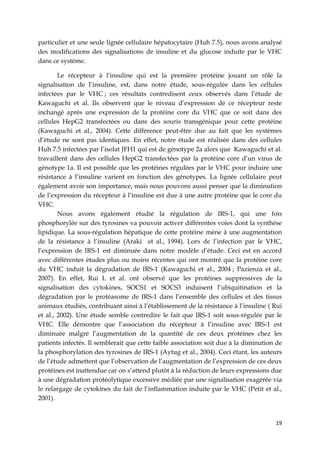 19
particulier et une seule lignée cellulaire hépatocytaire (Huh 7.5), nous avons analysé
des modifications des signalisations de insuline et du glucose induite par le VHC
dans ce système.
Le récepteur à l’insuline qui est la première protéine jouant un rôle la
signalisation de l’insuline, est, dans notre étude, sous-régulée dans les cellules
infectées par le VHC ; ces résultats contredisent ceux observés dans l’étude de
Kawaguchi et al. Ils observent que le niveau d’expression de ce récepteur reste
inchangé après une expression de la protéine core du VHC que ce soit dans des
cellules HepG2 transfectées ou dans des souris transgénique pour cette protéine
(Kawaguchi et al., 2004). Cette différence peut-être due au fait que les systèmes
d’étude ne sont pas identiques. En effet, notre étude est réalisée dans des cellules
Huh 7.5 infectées par l’isolat JFH1 qui est de génotype 2a alors que Kawaguchi et al.
travaillent dans des cellules HepG2 transfectées par la protéine core d’un virus de
génotype 1a. Il est possible que les protéines régulées par le VHC pour induire une
résistance à l’insuline varient en fonction des génotypes. La lignée cellulaire peut
également avoir son importance, mais nous pouvons aussi penser que la diminution
de l’expression du récepteur à l’insuline est due à une autre protéine que le core du
VHC.
Nous avons également étudié la régulation de IRS-1, qui une fois
phosphorylée sur des tyrosines va pouvoir activer différentes voies dont la synthèse
lipidique. La sous-régulation hépatique de cette protéine mène à une augmentation
de la résistance à l’insuline (Araki et al., 1994). Lors de l’infection par le VHC,
l’expression de IRS-1 est diminuée dans notre modèle d’étude. Ceci est en accord
avec différentes études plus ou moins récentes qui ont montré que la protéine core
du VHC induit la dégradation de IRS-1 (Kawaguchi et al., 2004 ; Pazienza et al.,
2007). En effet, Rui L et al. ont observé que les protéines suppressives de la
signalisation des cytokines, SOCS1 et SOCS3 induisent l’ubiquitination et la
dégradation par le protéasome de IRS-1 dans l’ensemble des cellules et des tissus
animaux étudiés, contribuant ainsi à l’établissement de la résistance à l’insuline ( Rui
et al., 2002). Une étude semble contredire le fait que IRS-1 soit sous-régulée par le
VHC. Elle démontre que l’association du récepteur à l’insuline avec IRS-1 est
diminuée malgré l’augmentation de la quantité de ces deux protéines chez les
patients infectés. Il semblerait que cette faible association soit due à la diminution de
la phosphorylation des tyrosines de IRS-1 (Aytug et al., 2004). Ceci étant, les auteurs
de l’étude admettent que l’observation de l’augmentation de l’expression de ces deux
protéines est inattendue car on s’attend plutôt à la réduction de leurs expressions due
à une dégradation protéolytique excessive médiée par une signalisation exagérée via
le relargage de cytokines du fait de l’inflammation induite par le VHC (Petit et al.,
2001).
 