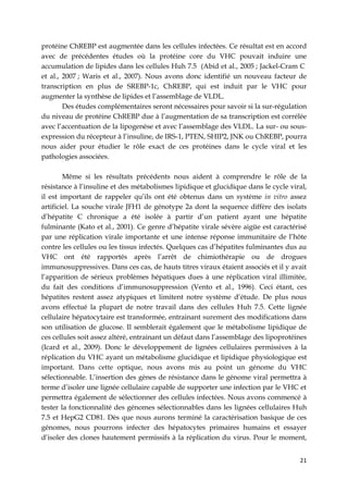 21
protéine ChREBP est augmentée dans les cellules infectées. Ce résultat est en accord
avec de précédentes études où la protéine core du VHC pouvait induire une
accumulation de lipides dans les cellules Huh 7.5 (Abid et al., 2005 ; Jackel-Cram C
et al., 2007 ; Waris et al., 2007). Nous avons donc identifié un nouveau facteur de
transcription en plus de SREBP-1c, ChREBP, qui est induit par le VHC pour
augmenter la synthèse de lipides et l’assemblage de VLDL.
Des études complémentaires seront nécessaires pour savoir si la sur-régulation
du niveau de protéine ChREBP due à l’augmentation de sa transcription est corrélée
avec l’accentuation de la lipogenèse et avec l’assemblage des VLDL. La sur- ou sous-
expression du récepteur à l’insuline, de IRS-1, PTEN, SHIP2, JNK ou ChREBP, pourra
nous aider pour étudier le rôle exact de ces protéines dans le cycle viral et les
pathologies associées.
Même si les résultats précédents nous aident à comprendre le rôle de la
résistance à l’insuline et des métabolismes lipidique et glucidique dans le cycle viral,
il est important de rappeler qu’ils ont été obtenus dans un système in vitro assez
artificiel. La souche virale JFH1 de génotype 2a dont la sequence diffère des isolats
d’hépatite C chronique a été isolée à partir d’un patient ayant une hépatite
fulminante (Kato et al., 2001). Ce genre d’hépatite virale sévère aigüe est caractérisé
par une réplication virale importante et une intense réponse immunitaire de l’hôte
contre les cellules ou les tissus infectés. Quelques cas d’hépatites fulminantes dus au
VHC ont été rapportés après l’arrêt de chimiothérapie ou de drogues
immunosuppressives. Dans ces cas, de hauts titres viraux étaient associés et il y avait
l’apparition de sérieux problèmes hépatiques dues à une réplication viral illimitée,
du fait des conditions d’immunosuppression (Vento et al., 1996). Ceci étant, ces
hépatites restent assez atypiques et limitent notre système d’étude. De plus nous
avons effectué la plupart de notre travail dans des cellules Huh 7.5. Cette lignée
cellulaire hépatocytaire est transformée, entrainant surement des modifications dans
son utilisation de glucose. Il semblerait également que le métabolisme lipidique de
ces cellules soit assez altéré, entrainant un défaut dans l’assemblage des lipoprotéines
(Icard et al., 2009). Donc le développement de lignées cellulaires permissives à la
réplication du VHC ayant un métabolisme glucidique et lipidique physiologique est
important. Dans cette optique, nous avons mis au point un génome du VHC
sélectionnable. L’insertion des gènes de résistance dans le génome viral permettra à
terme d’isoler une lignée cellulaire capable de supporter une infection par le VHC et
permettra également de sélectionner des cellules infectées. Nous avons commencé à
tester la fonctionnalité des génomes sélectionnables dans les lignées cellulaires Huh
7.5 et HepG2 CD81. Dès que nous aurons terminé la caractérisation basique de ces
génomes, nous pourrons infecter des hépatocytes primaires humains et essayer
d’isoler des clones hautement permissifs à la réplication du virus. Pour le moment,
 