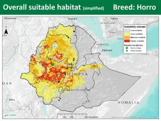 SmaRT Ethiopia achievements 
