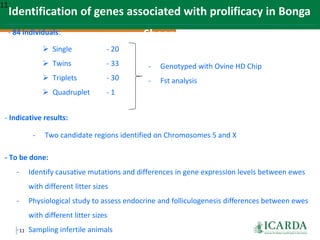 SmaRT Ethiopia achievements 