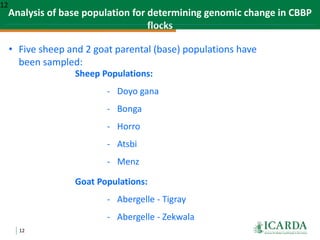 SmaRT Ethiopia achievements 