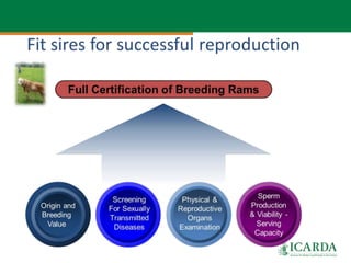 SmaRT Ethiopia achievements 