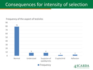 SmaRT Ethiopia achievements 