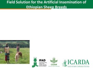 SmaRT Ethiopia achievements 