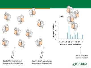 SmaRT Ethiopia achievements 
