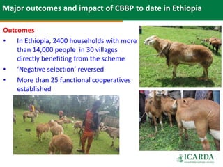 SmaRT Ethiopia achievements 