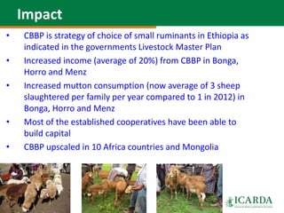 SmaRT Ethiopia achievements 