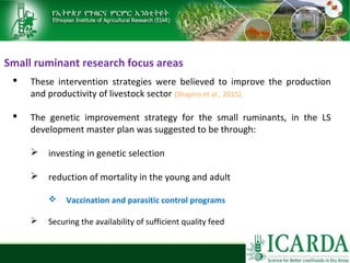 Sheep and goat research and development of Ethiopia