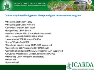 Sheep and goat research and development of Ethiopia