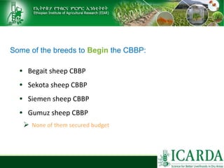 Sheep and goat research and development of Ethiopia