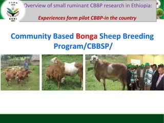 Sheep and goat research and development of Ethiopia