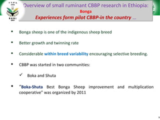 Sheep and goat research and development of Ethiopia