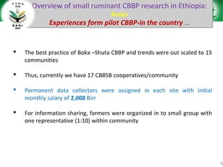 Sheep and goat research and development of Ethiopia