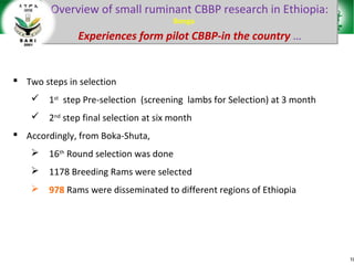 Sheep and goat research and development of Ethiopia