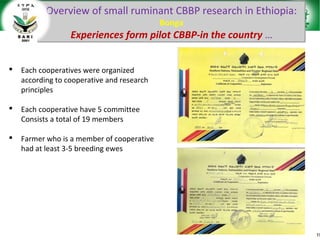 Sheep and goat research and development of Ethiopia