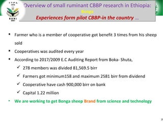 Sheep and goat research and development of Ethiopia