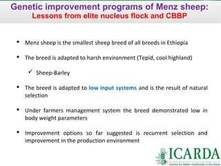 Sheep and goat research and development of Ethiopia