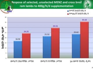 Sheep and goat research and development of Ethiopia