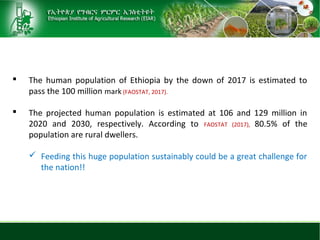 Sheep and goat research and development of Ethiopia