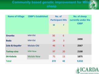 Sheep and goat research and development of Ethiopia