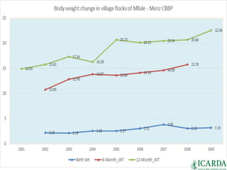 Sheep and goat research and development of Ethiopia