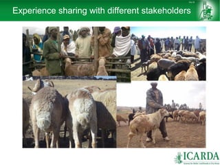 Sheep and goat research and development of Ethiopia