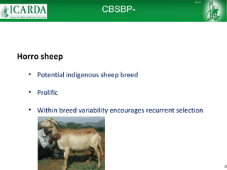 Sheep and goat research and development of Ethiopia