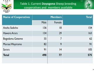 Sheep and goat research and development of Ethiopia