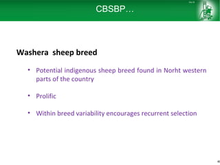 Sheep and goat research and development of Ethiopia