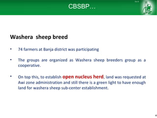 Sheep and goat research and development of Ethiopia