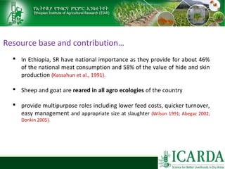 Sheep and goat research and development of Ethiopia