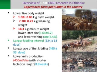 Sheep and goat research and development of Ethiopia
