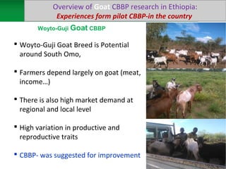Sheep and goat research and development of Ethiopia