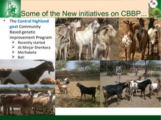 Sheep and goat research and development of Ethiopia