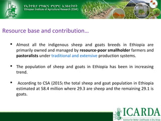 Sheep and goat research and development of Ethiopia