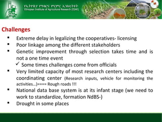 Sheep and goat research and development of Ethiopia