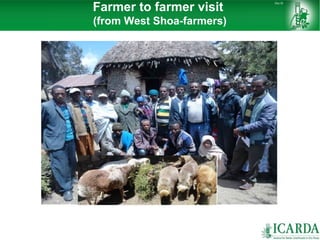 Sheep and goat research and development of Ethiopia