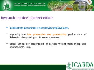 Sheep and goat research and development of Ethiopia
