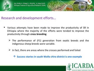 Sheep and goat research and development of Ethiopia