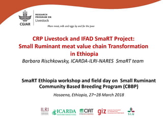 CRP Livestock and IFAD SmaRT Project:
Small Ruminant meat value chain Transformation
in Ethiopia
Barbara Rischkowsky, ICARDA-ILRI-NARES SmaRT team
SmaRT Ethiopia workshop and field day on Small Ruminant
Community Based Breeding Program (CBBP)
Hosaena, Ethiopia, 27–28 March 2018
 