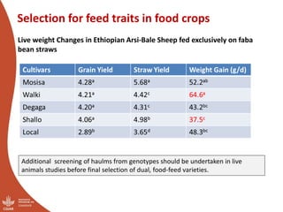 CRP Livestock and IFAD SmaRT Project: Small Ruminant meat value chain Transformation in Ethiopia