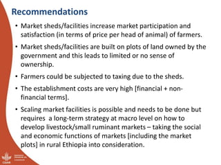 CRP Livestock and IFAD SmaRT Project: Small Ruminant meat value chain Transformation in Ethiopia