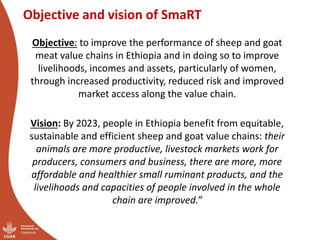 CRP Livestock and IFAD SmaRT Project: Small Ruminant meat value chain Transformation in Ethiopia