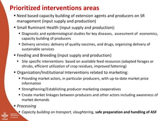CRP Livestock and IFAD SmaRT Project: Small Ruminant meat value chain Transformation in Ethiopia